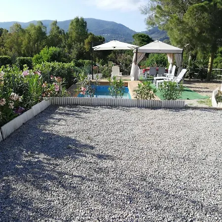 Lupetta Lacona