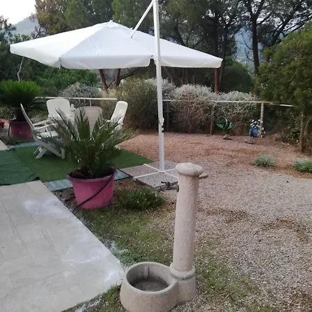 Lupetta Lacona