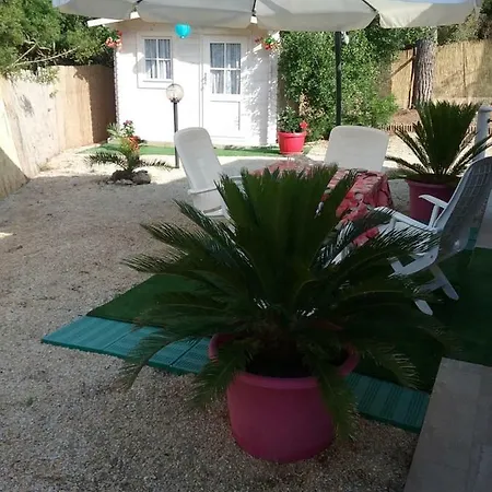 فيلة Lupetta *